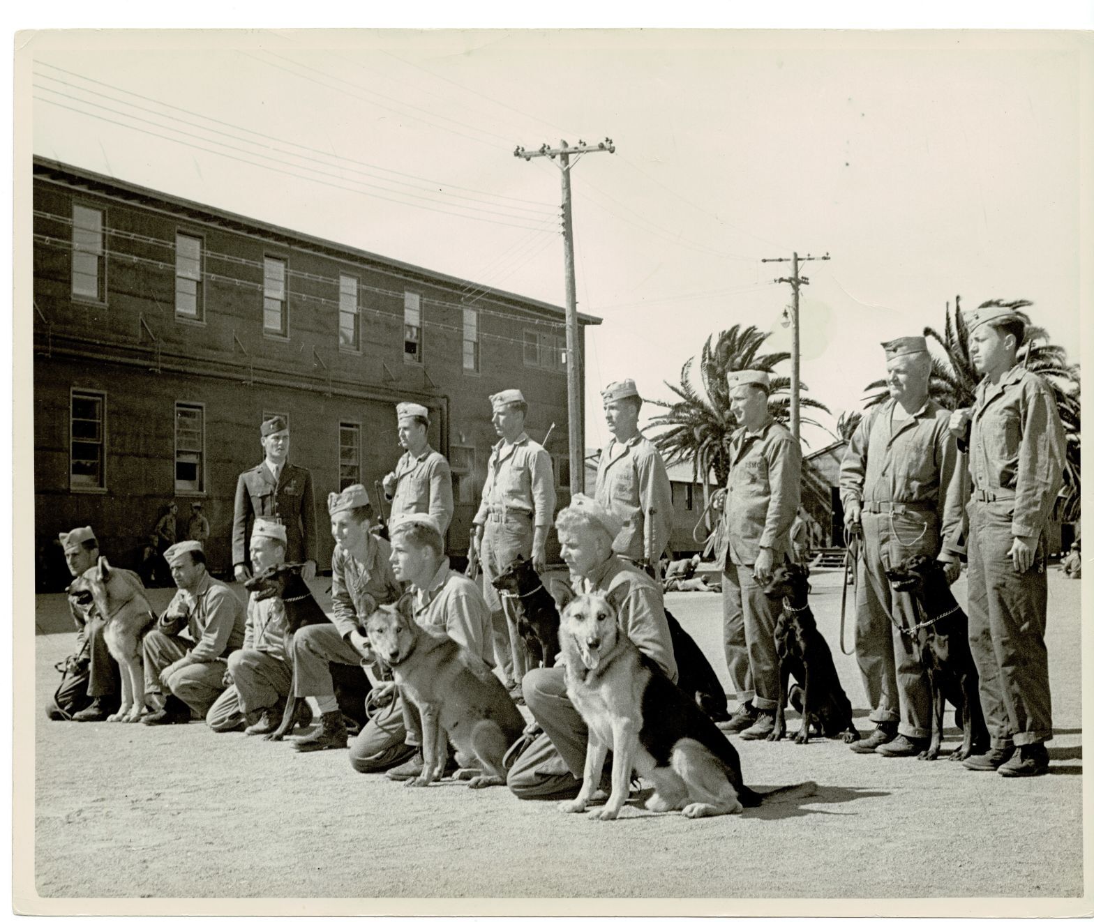 Worth and War Dog Platoon